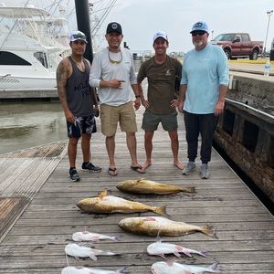 Meet your Posher, Max